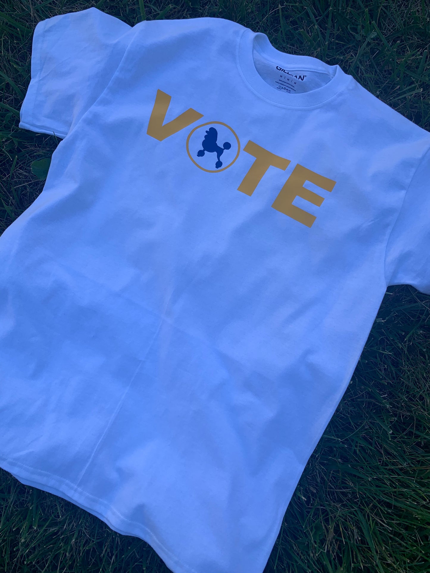 Vote- Blue/Gold